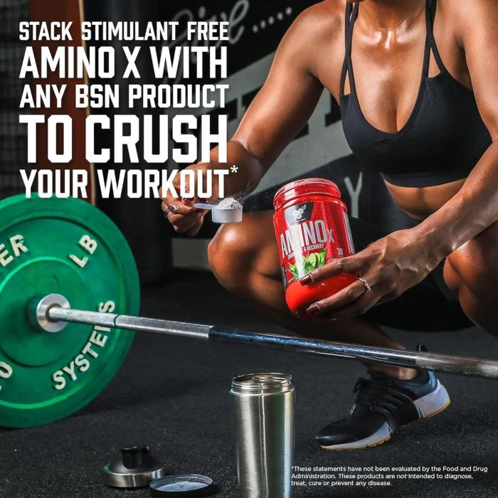 BSN - Amino x - 30 Servings