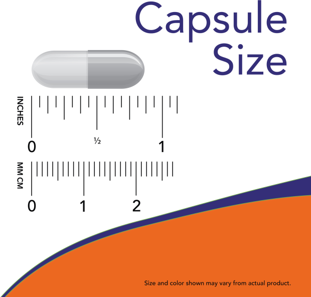 NOW Foods - NAC - 30 Capsulas